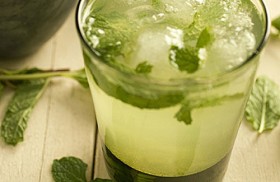 The Celebrity Mojito The Celebrity Mojito